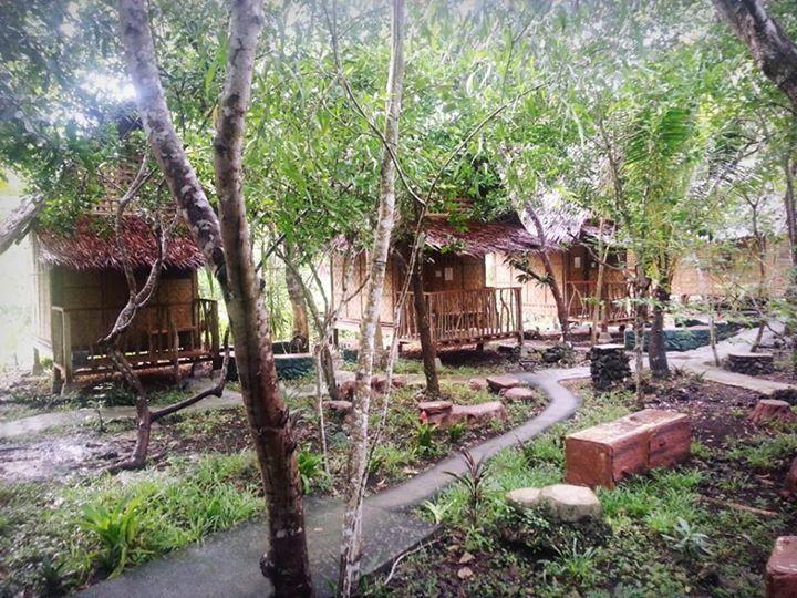 Hostel Bohol Coco Farm Panglao Exterior foto